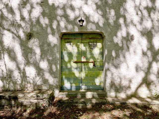 Haustür grün weiss Natur draussen Schatten Bäume